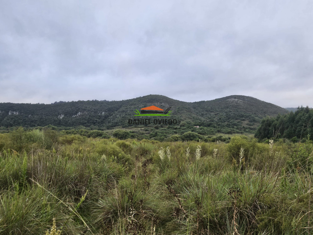 Campo Ref.350/Oportunidad-buen-campo-ganadero-en-venta-con-excelentes-vistas. - Oportunidad buen campo ganadero en venta con excelentes vistas.