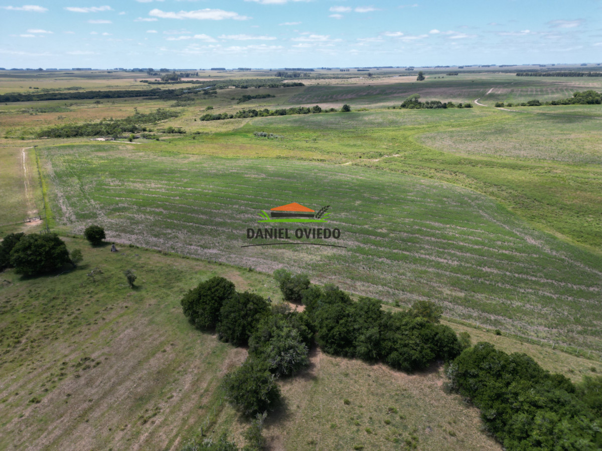 Campo Ref.359/Estancia-de-945-has-en-venta-en-Cerro-Largo. - Estancia de 945 has en venta en Cerro Largo.