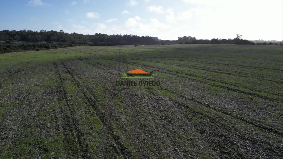 Campo Ref.235/Campo-agr - Campo agrícola de 23.8 has próximo a balneario Artilleros.