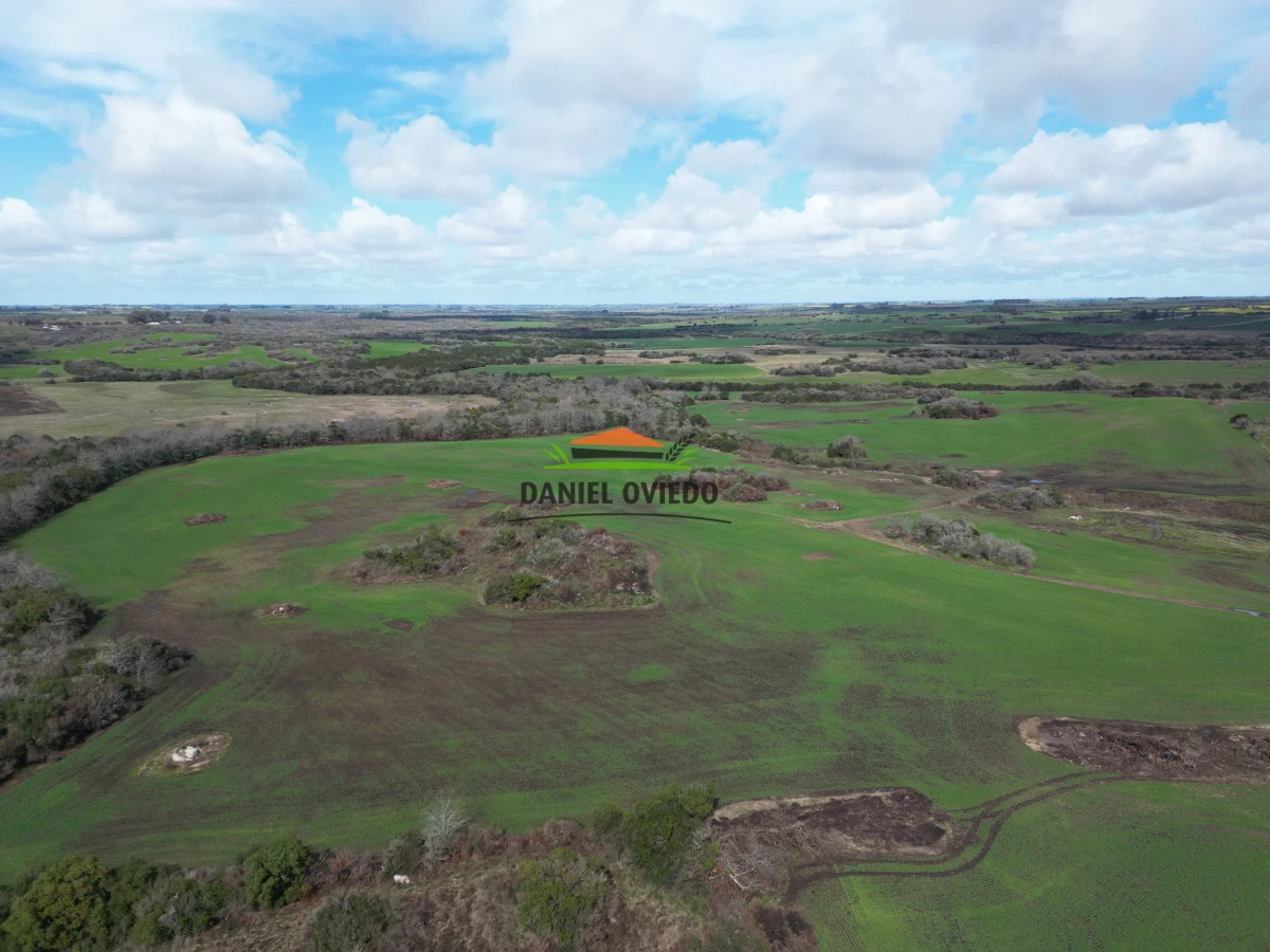 Campo Ref.249/Buen-campo-ganadero-en-venta-ideal-para-engorde. - Buen campo ganadero en venta ideal para engorde.