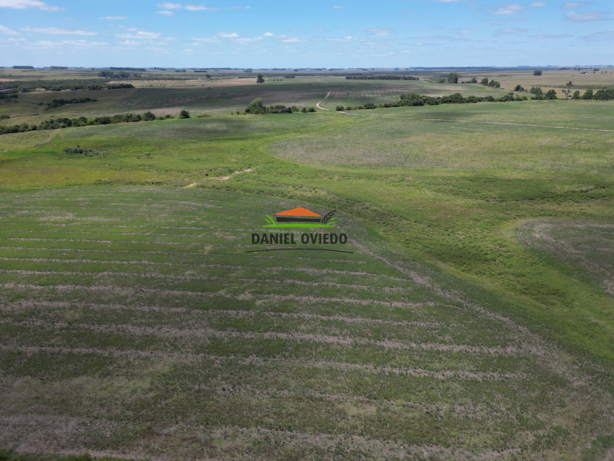 Campo Ref.359/Estancia-de-945-has-en-venta-en-Cerro-Largo. - Estancia de 945 has en venta en Cerro Largo.