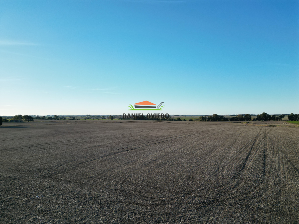 Campo Ref.207 - Excelente campo agrícola en venta en ruta 1, San José.