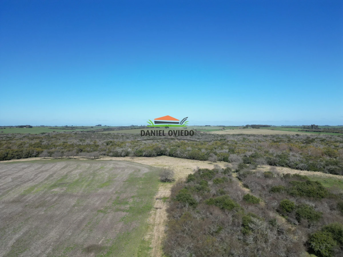 Campo Ref.243/Campo-agrícola-ganadero-en-venta-con-costa-de-arroyo. - Campo agrícola ganadero en venta con costa de arroyo.