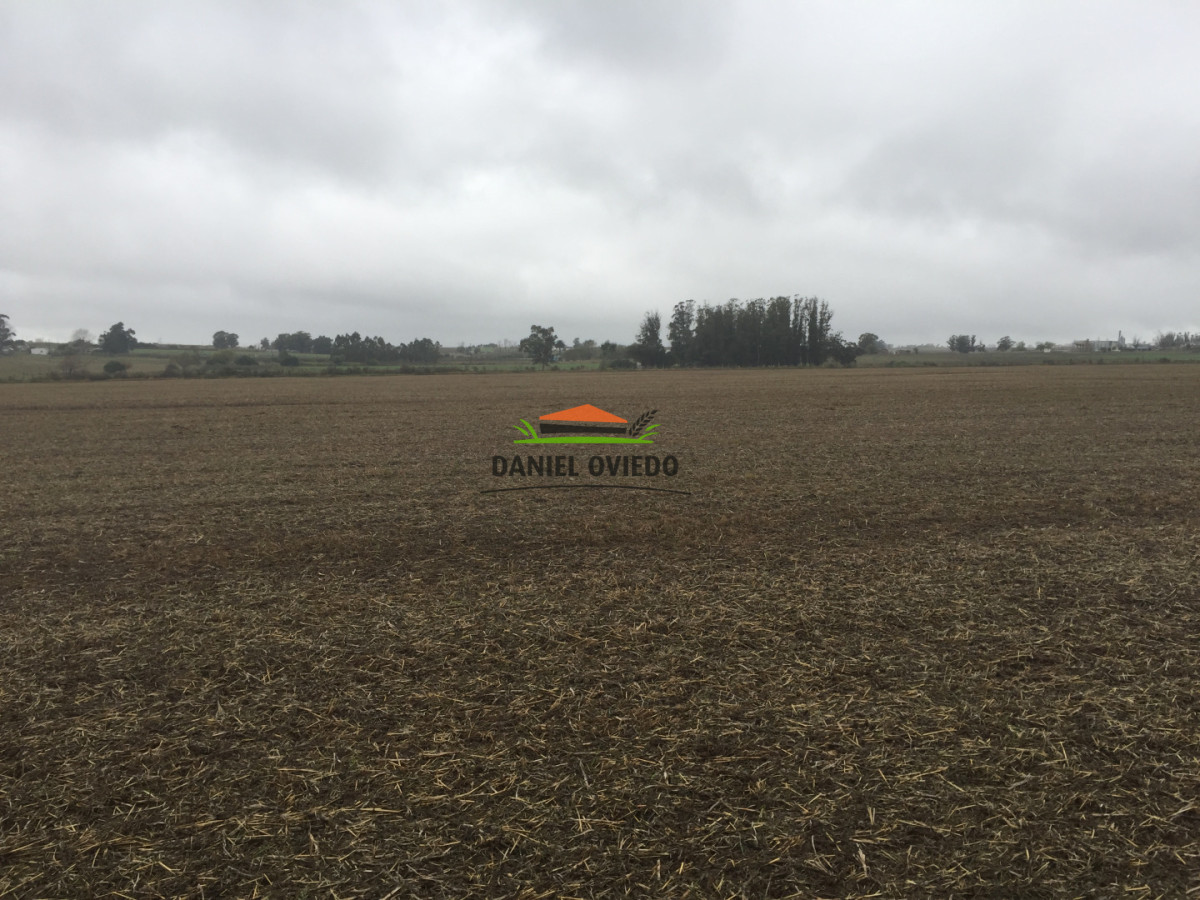 Campo Ref.417/Oportunidad-de-inversi - Oportunidad de inversión, campo agrícola-ganadero en venta en Soriano.