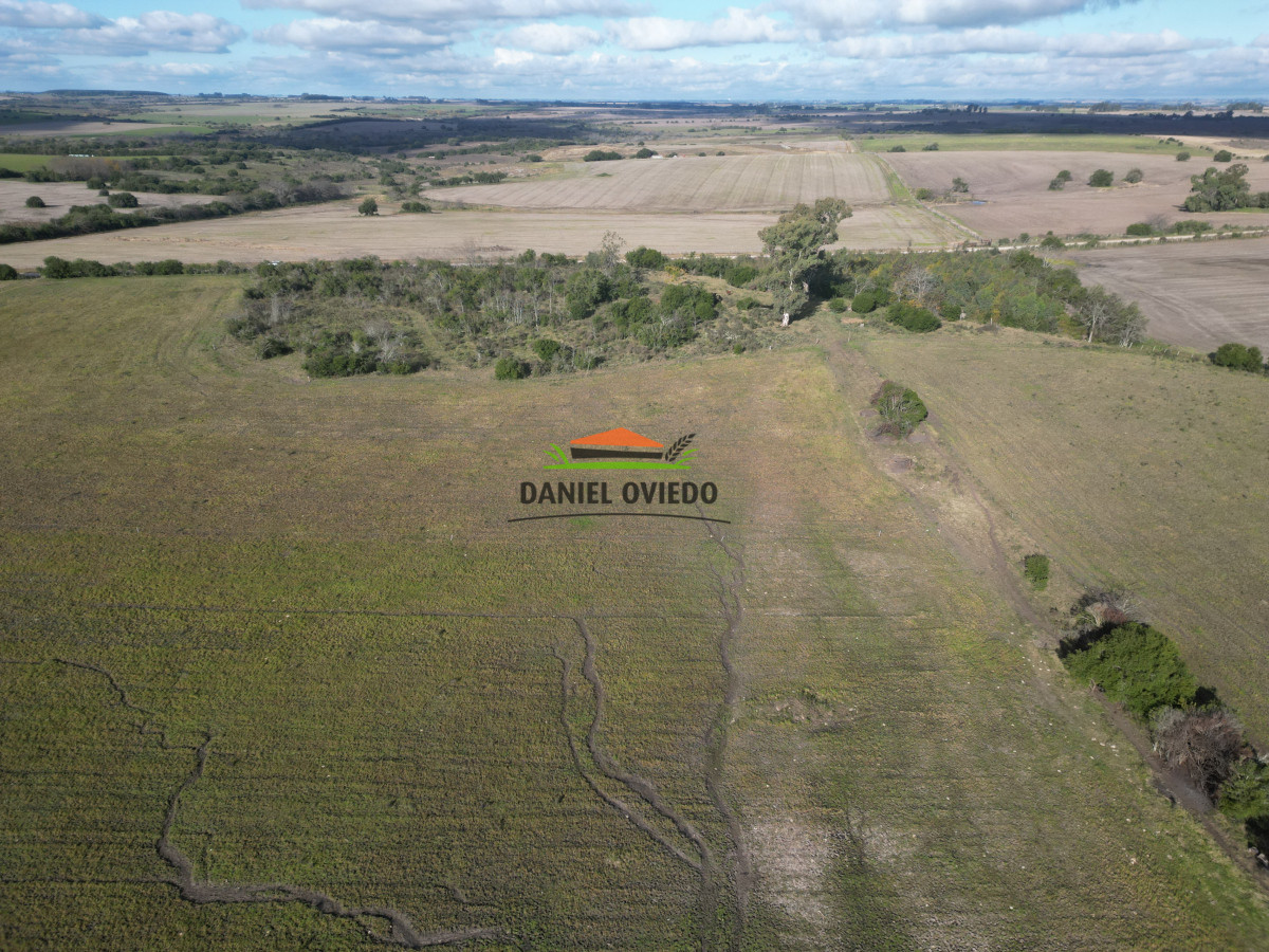 Campo Ref.208 - Campo agrícola ganadero de 20,95 has en Miguelete de Campana.