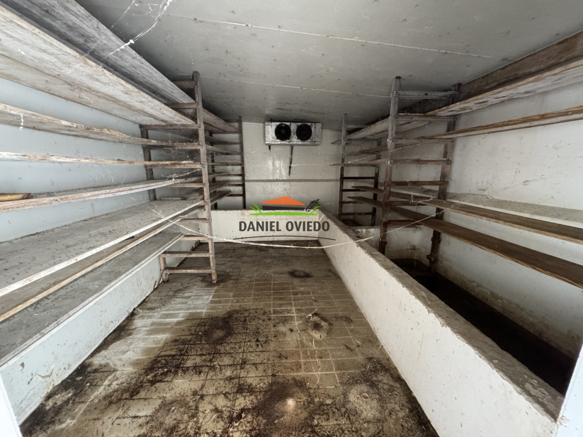 Campo Ref.377/Establecimiento-con-f - Establecimiento con fábrica y 33 Hás de campo - Instalaciones y equipamiento incluidos | Colonia