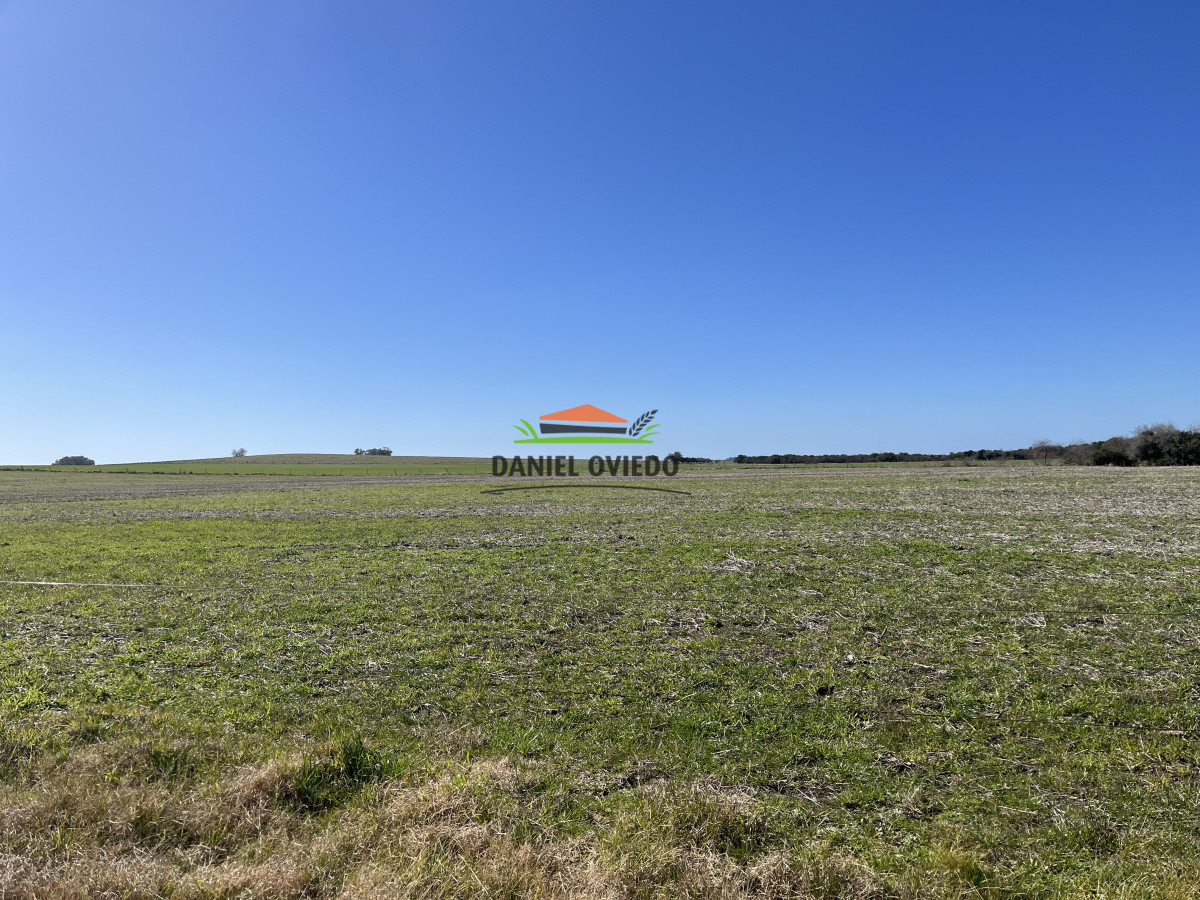 Campo Ref.243/Campo-agrícola-ganadero-en-venta-con-costa-de-arroyo. - Campo agrícola ganadero en venta con costa de arroyo.