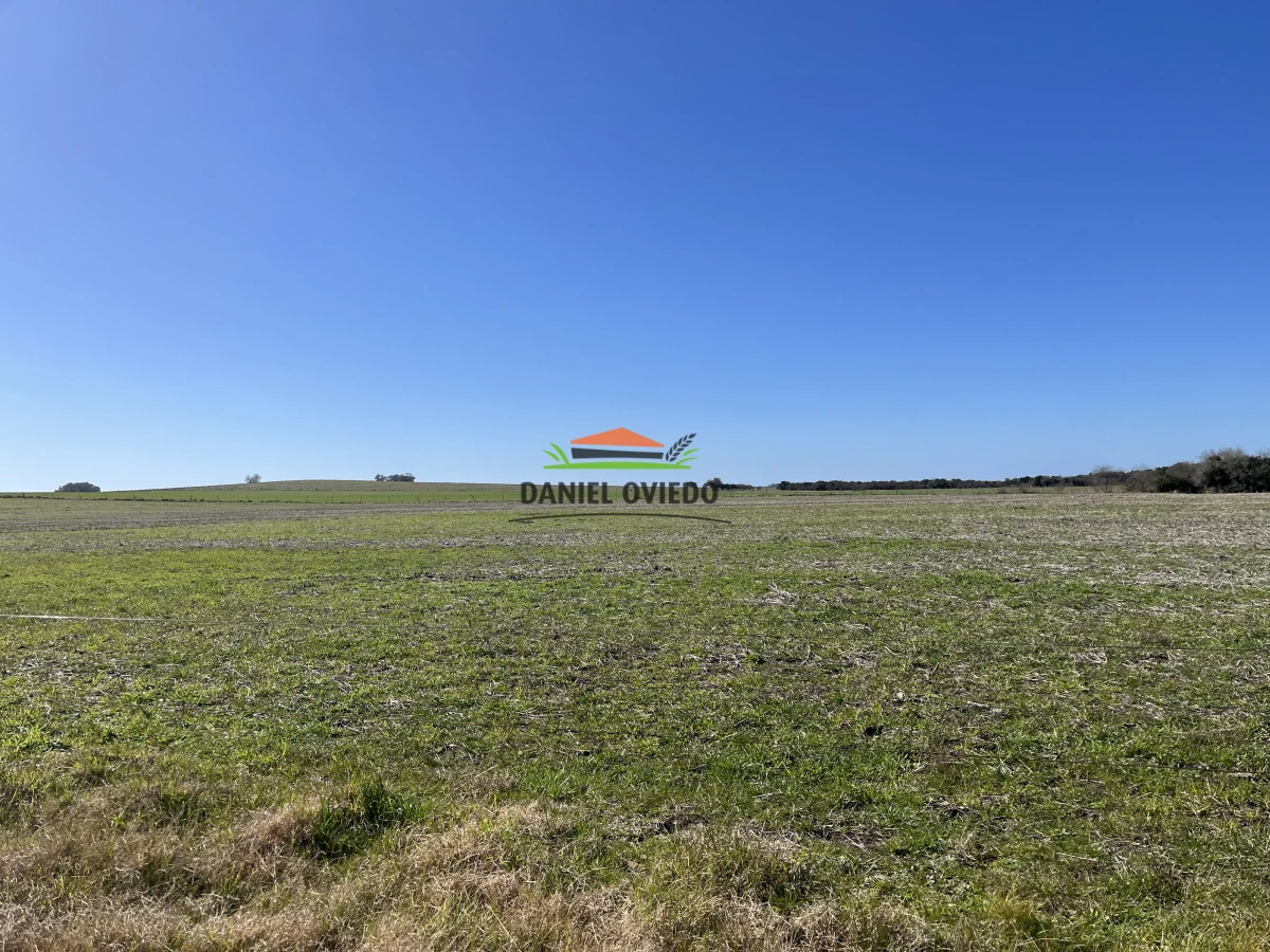 Campo Ref.243/Campo-agrícola-ganadero-en-venta-con-costa-de-arroyo. - Campo agrícola ganadero en venta con costa de arroyo.