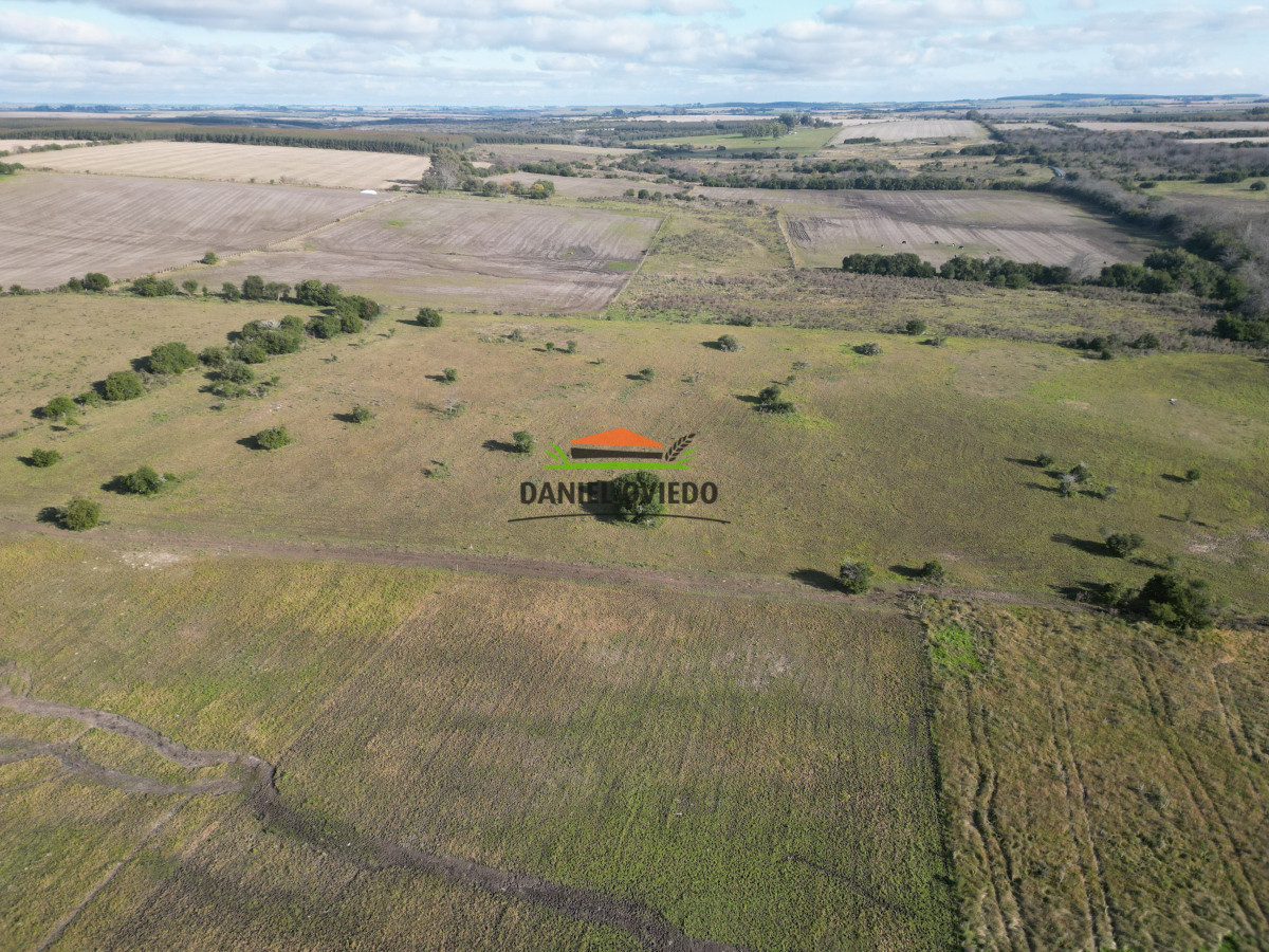 Campo Ref.208 - Campo agrícola ganadero de 20,95 has en Miguelete de Campana.