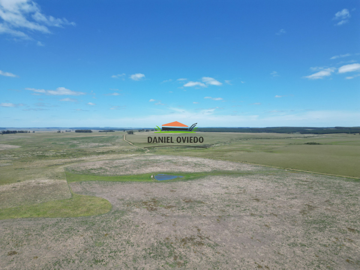 Campo Ref.359/Estancia-de-945-has-en-venta-en-Cerro-Largo. - Estancia de 945 has en venta en Cerro Largo.