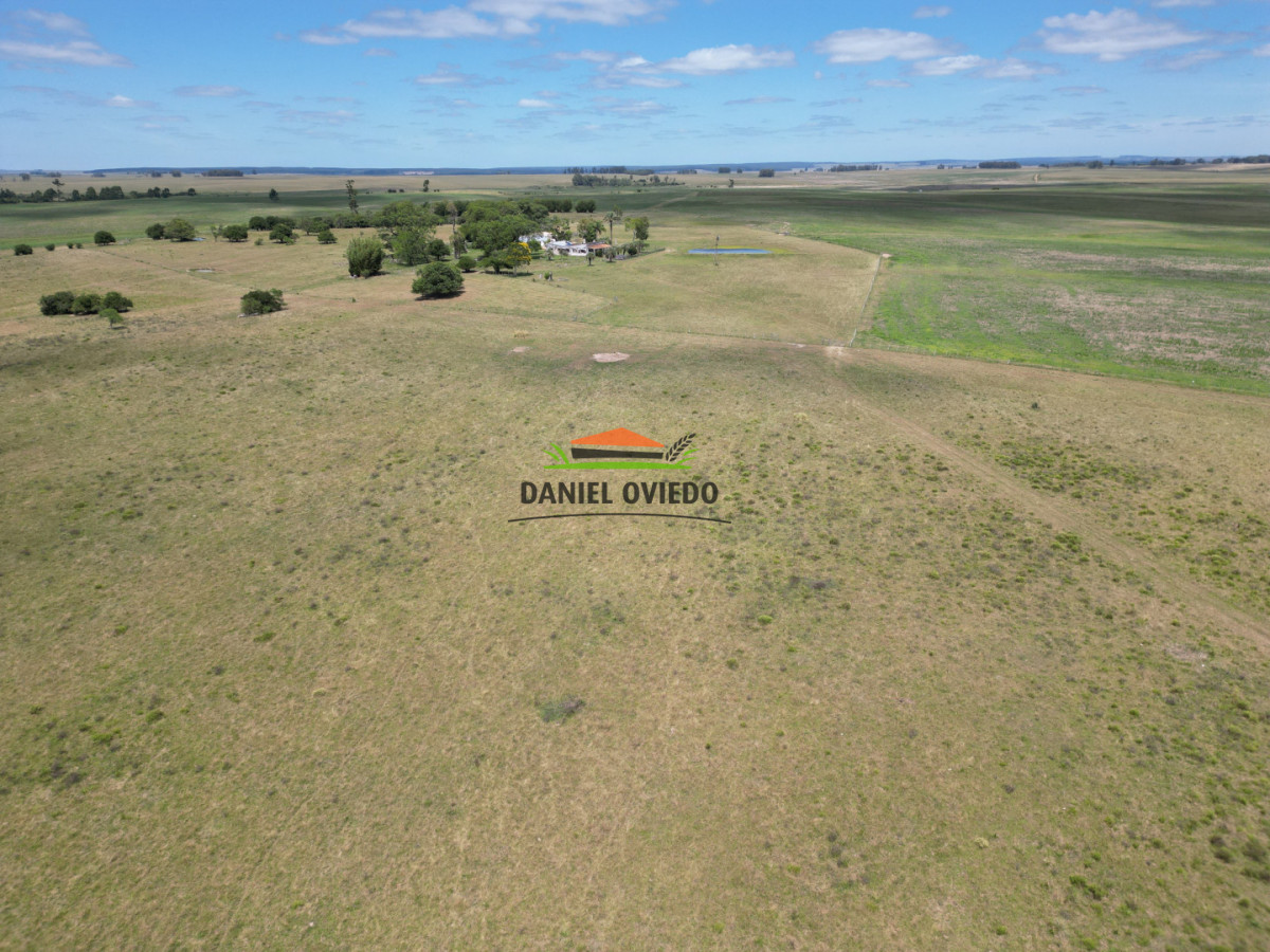 Campo Ref.359/Estancia-de-945-has-en-venta-en-Cerro-Largo. - Estancia de 945 has en venta en Cerro Largo.