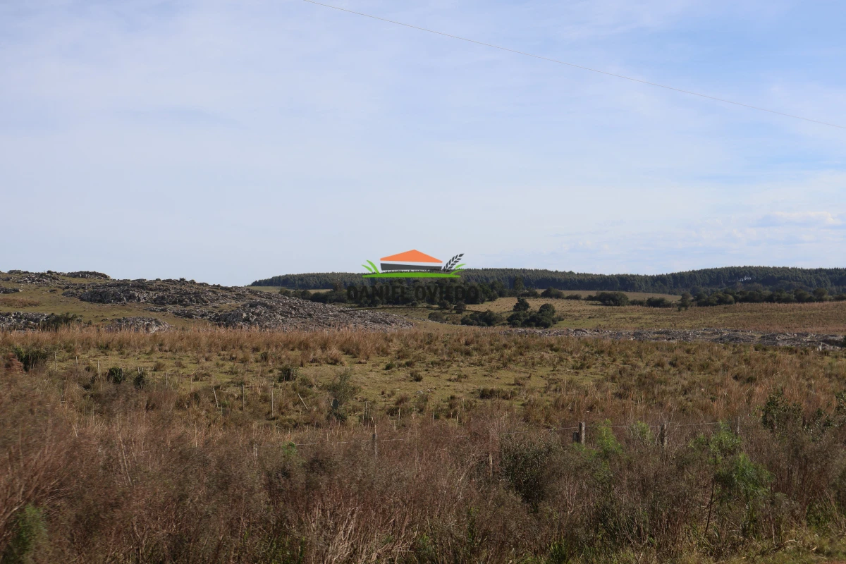 Campo Ref.210/Estancia-ganadera-completa-en-venta-de-2.956-has-en-Cerro-Largo. - Estancia ganadera completa en venta de 2.956 has en Cerro Largo.