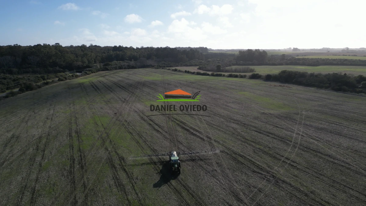 Campo Ref.235/Campo-agr - Campo agrícola de 23.8 has próximo a balneario Artilleros.