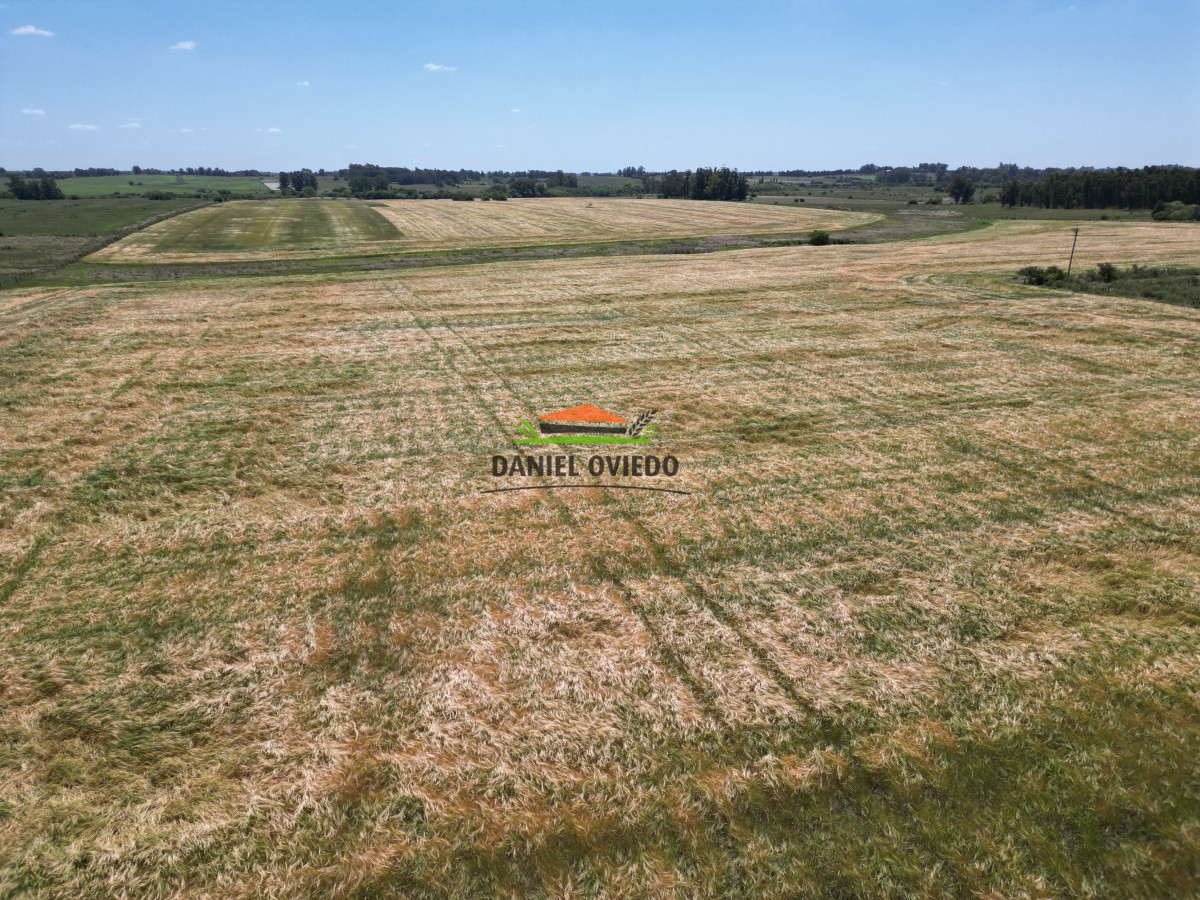 Campo Ref.143 - Oportunidad de inversión, campo agrícola en venta en Canelones.