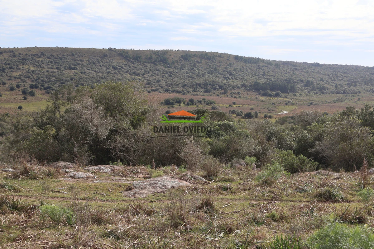 Campo Ref.210/Estancia-ganadera-completa-en-venta-de-2.956-has-en-Cerro-Largo. - Estancia ganadera completa en venta de 2.956 has en Cerro Largo.