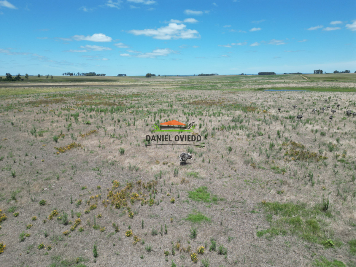 Campo Ref.359/Estancia-de-945-has-en-venta-en-Cerro-Largo. - Estancia de 945 has en venta en Cerro Largo.