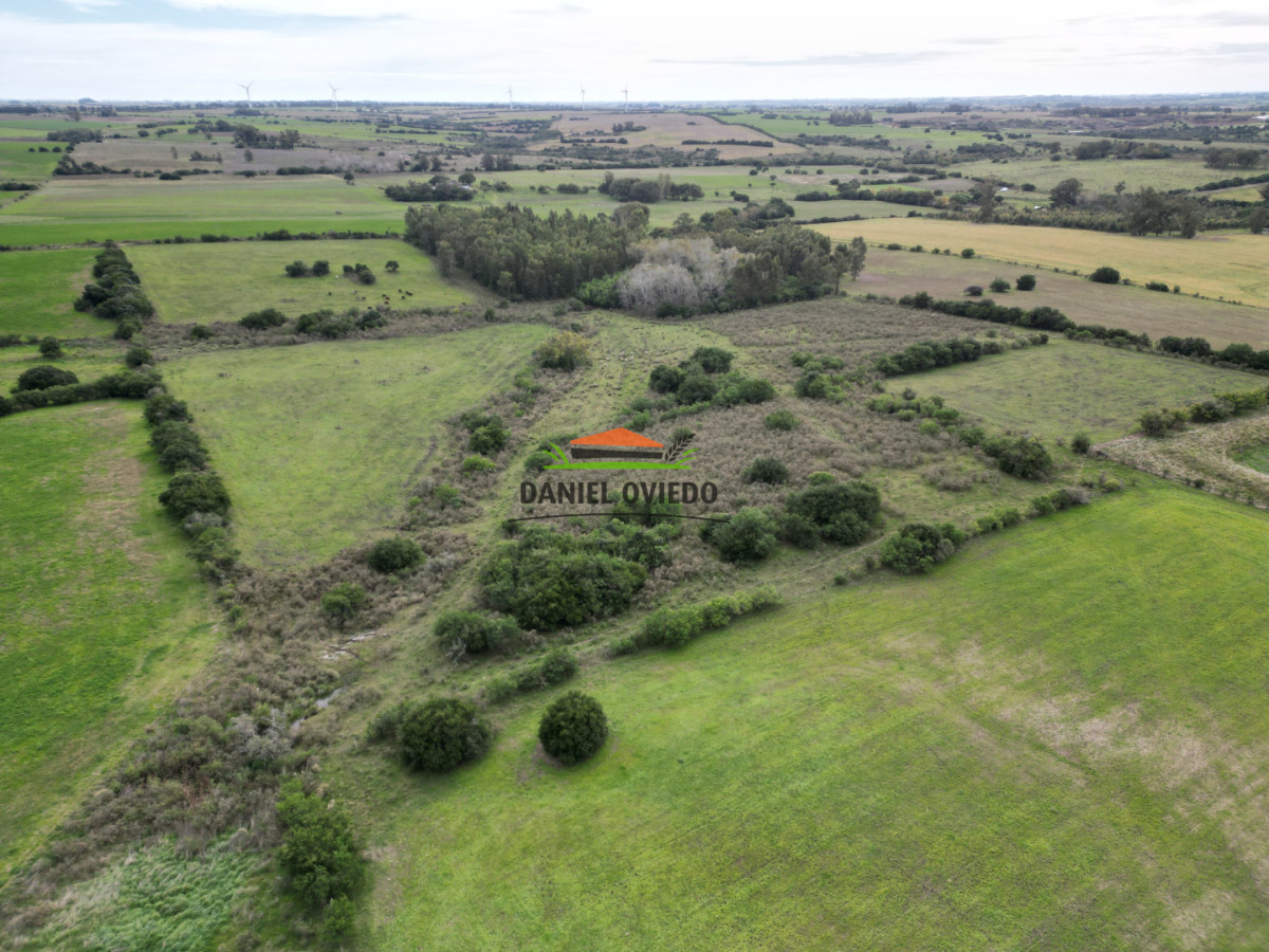 Campo Ref.377/Establecimiento-con-f - Establecimiento con fábrica y 33 Hás de campo - Instalaciones y equipamiento incluidos | Colonia