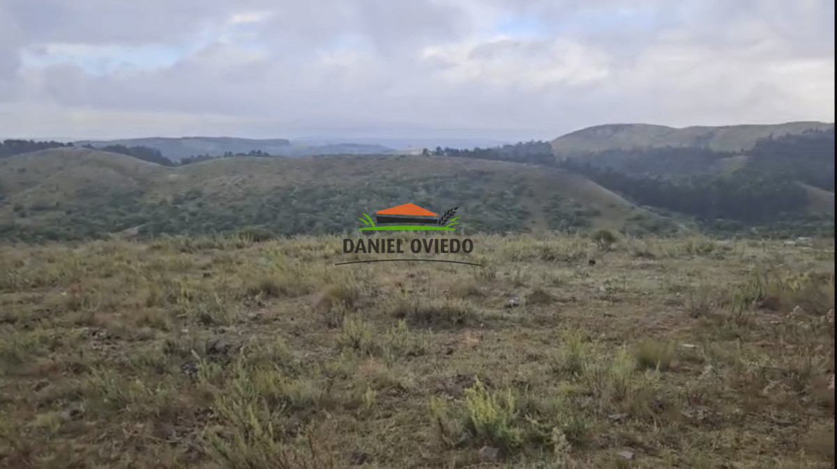 Campo Ref.350/Oportunidad-buen-campo-ganadero-en-venta-con-excelentes-vistas. - Oportunidad buen campo ganadero en venta con excelentes vistas.