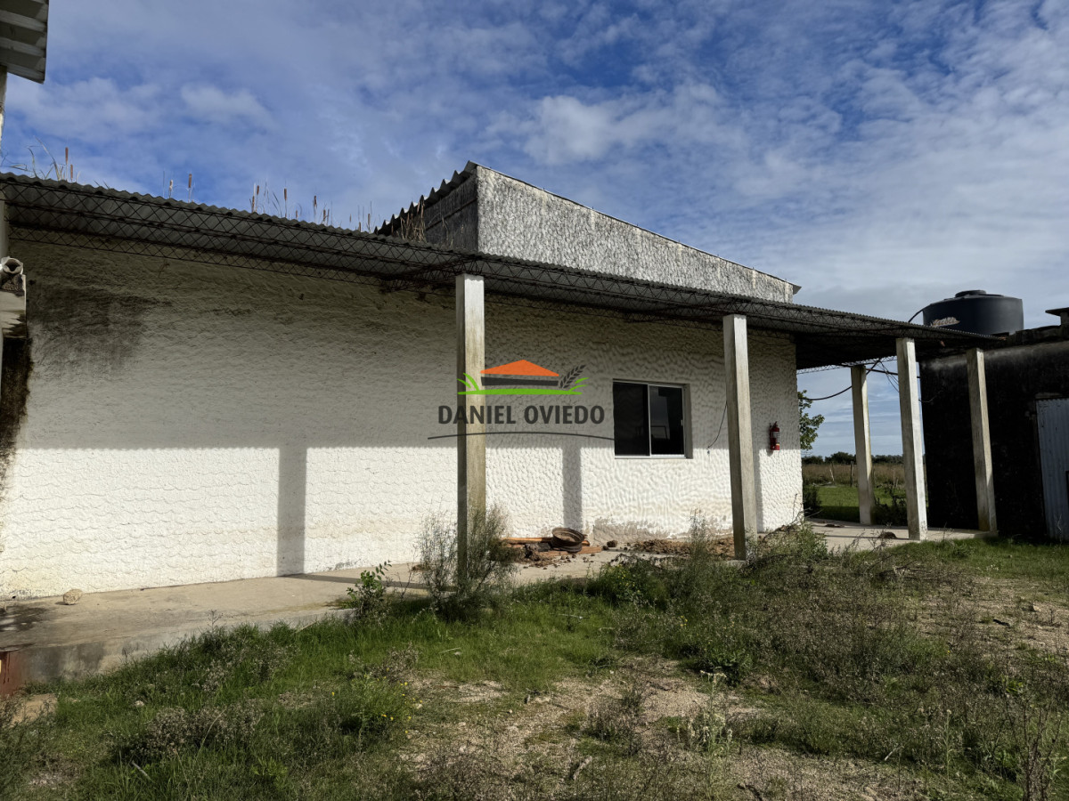 Campo Ref.377/Establecimiento-con-f - Establecimiento con fábrica y 33 Hás de campo - Instalaciones y equipamiento incluidos | Colonia
