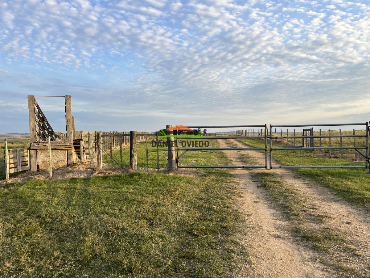 Campo Ref.201/Establecimiento-completo-de-400-h - Establecimiento completo de 400 hás en venta en Flores.