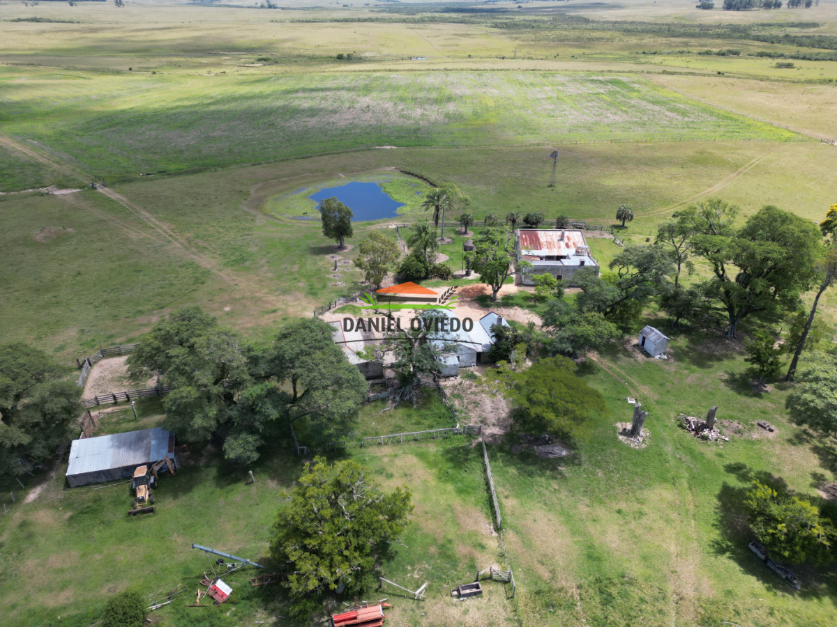 Campo Ref.359/Estancia-de-945-has-en-venta-en-Cerro-Largo. - Estancia de 945 has en venta en Cerro Largo.