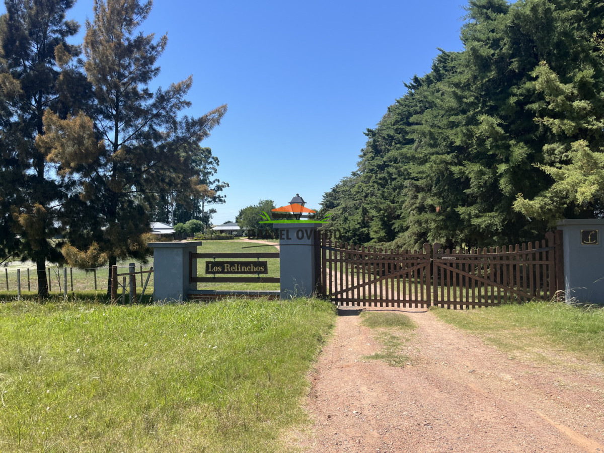 Campo Ref.357/Muy-buen-establecimiento-completo-en-venta-en-ruta-26-proximo-a-Melo. - Muy buen establecimiento completo en venta en ruta 26 proximo a Melo.