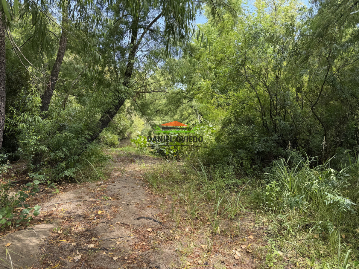 Campo Ref.336/Campo-agr - Campo agrícola de 18,9 hás con renta anual - Nueva Helvecia