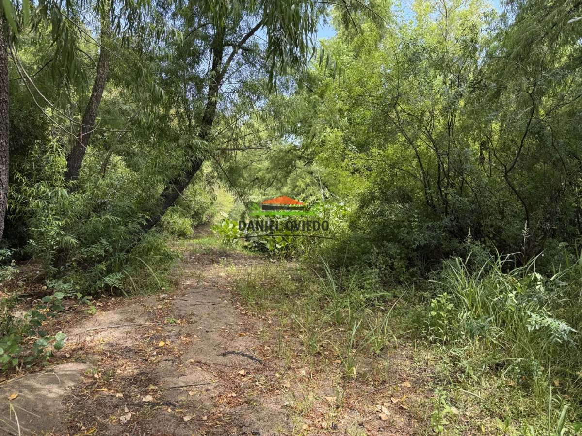 Campo Ref.336/Campo-agr - Campo agrícola de 18,9 hás con renta anual - Nueva Helvecia