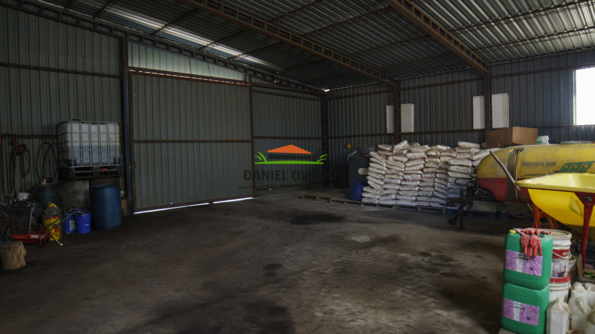 Campo Ref.327/Campo-con-Olivos-de-320-has-en-venta-en-Maldonado. - Campo con Olivos de 320 has en venta en Maldonado.