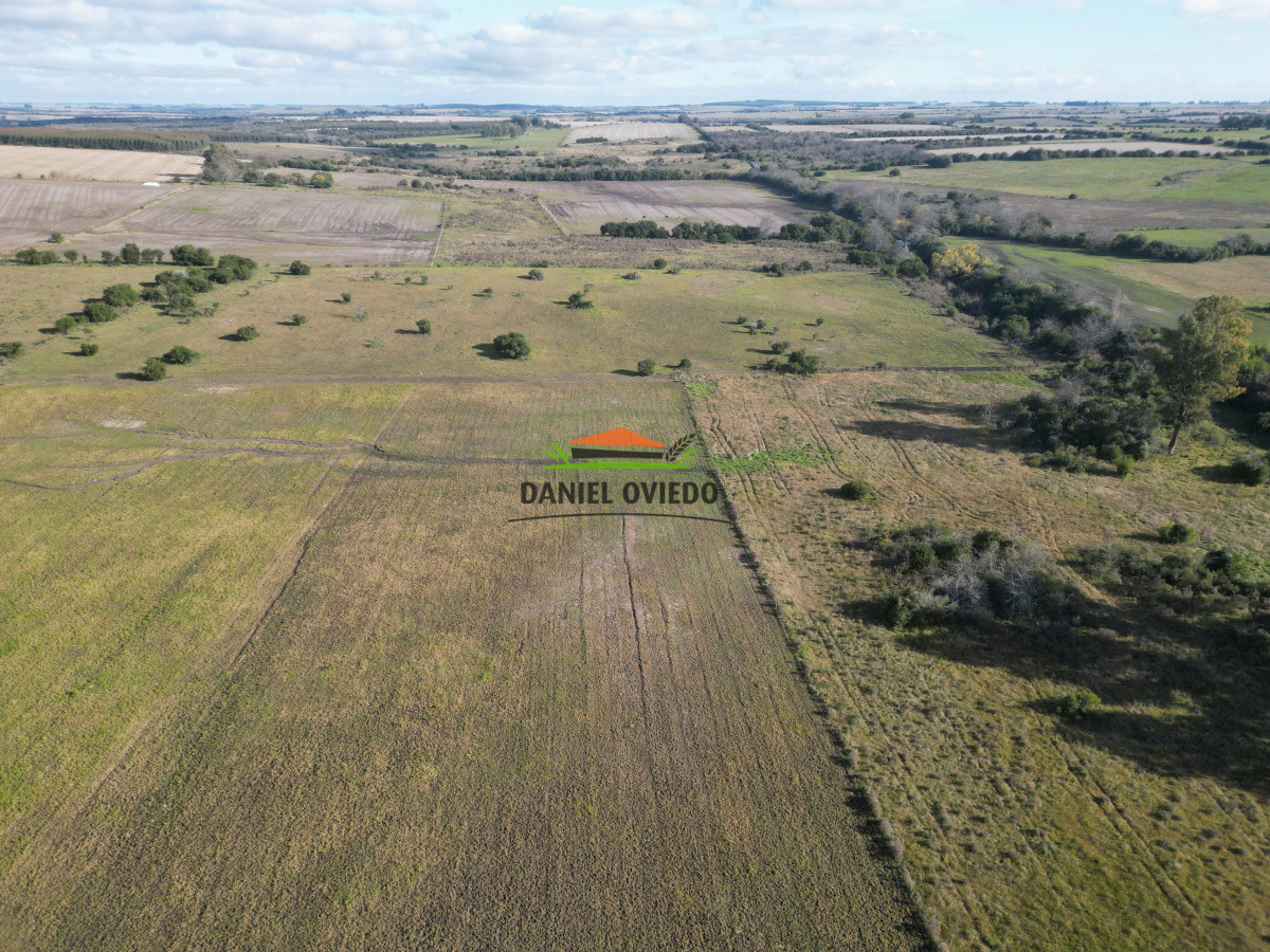 Campo Ref.208 - Campo agrícola ganadero de 20,95 has en Miguelete de Campana.