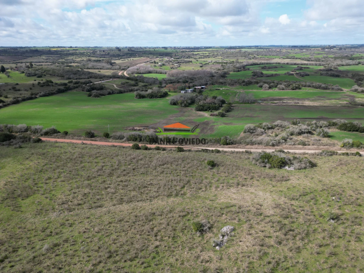 Campo Ref.249/Buen-campo-ganadero-en-venta-ideal-para-engorde. - Buen campo ganadero en venta ideal para engorde.