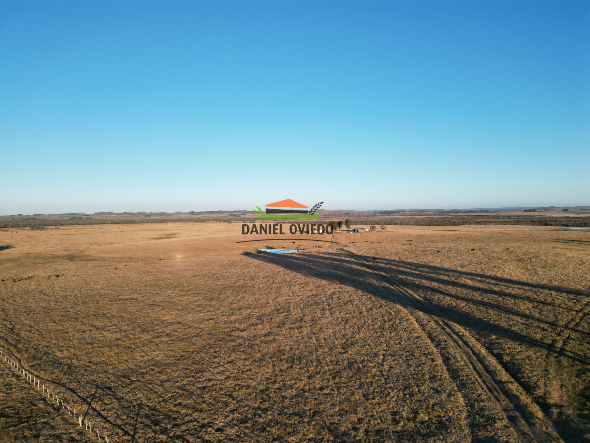 Campo Ref.223/Establecimiento-de-760-hás-en-venta-en-Cerro-Largo. - Establecimiento de 760 hás en venta en Cerro Largo.