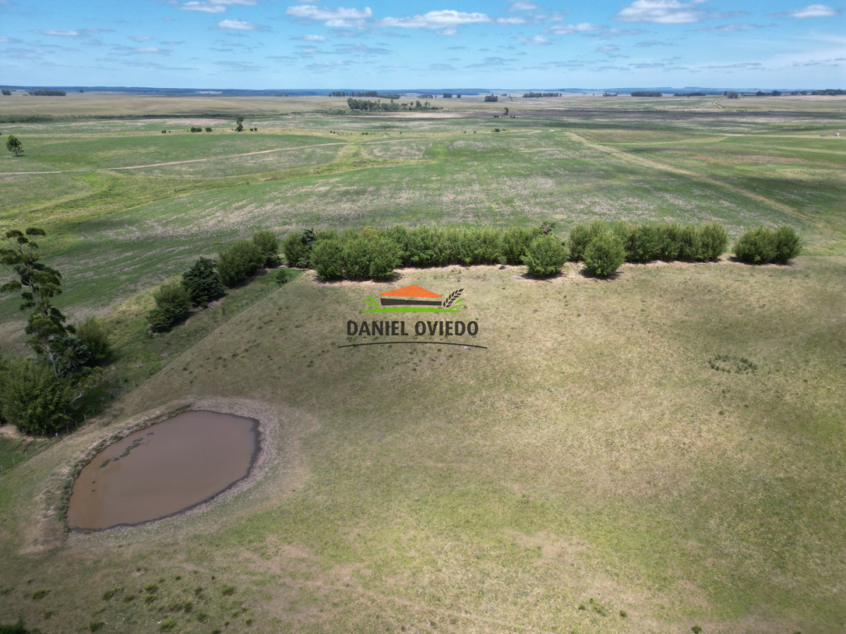 Campo Ref.359/Estancia-de-945-has-en-venta-en-Cerro-Largo. - Estancia de 945 has en venta en Cerro Largo.