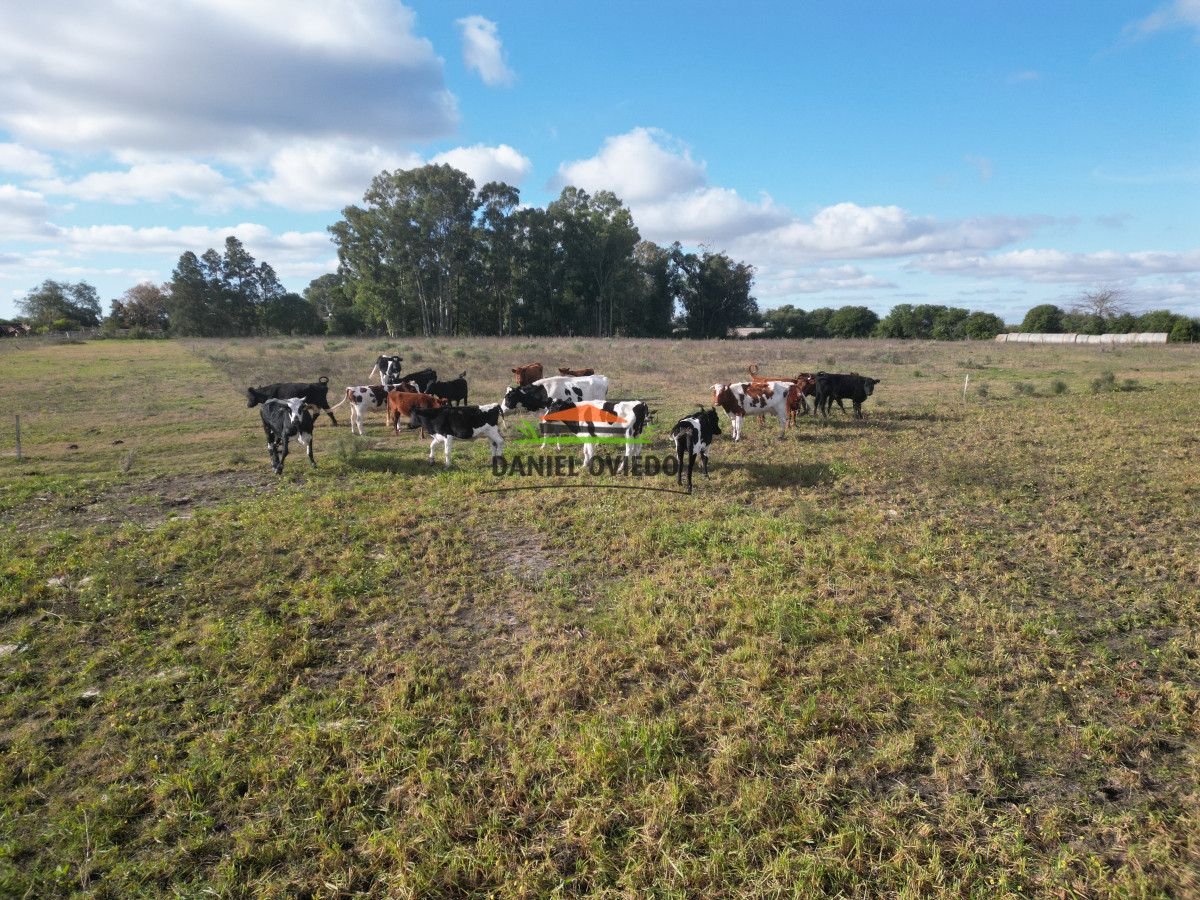 Campo Ref.208 - Campo agrícola ganadero de 20,95 has en Miguelete de Campana.
