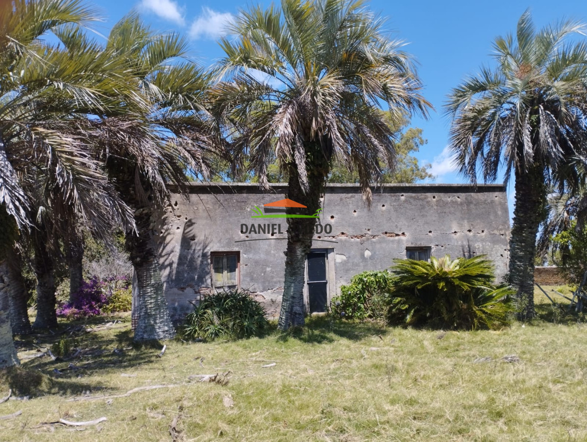 Campo Ref.306/Buen-campo-ganadero-en-venta-La-Coronilla,-Rocha. - Buen campo ganadero en venta La Coronilla, Rocha.