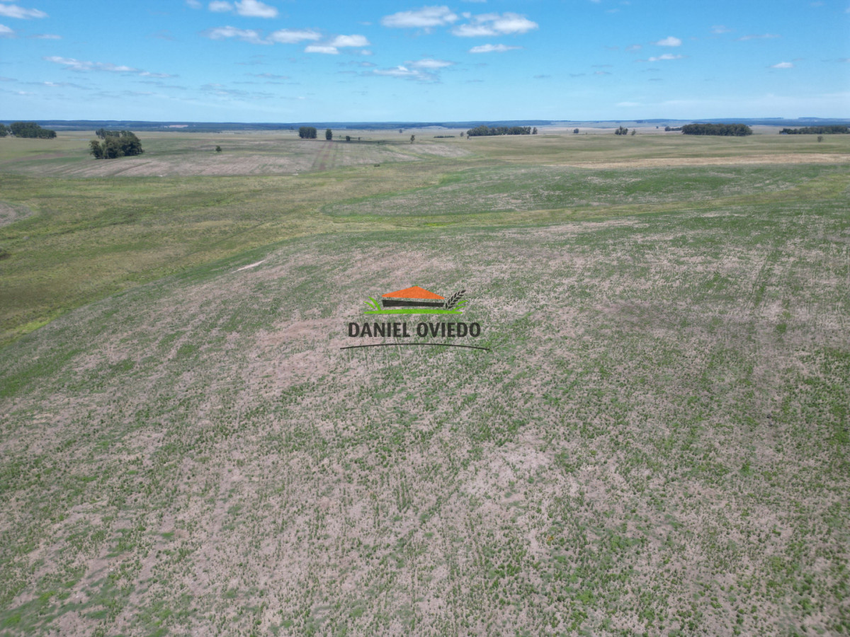 Campo Ref.359/Estancia-de-945-has-en-venta-en-Cerro-Largo. - Estancia de 945 has en venta en Cerro Largo.
