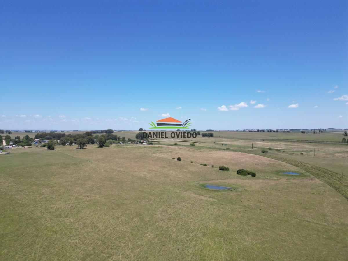 Campo Ref.357/Muy-buen-establecimiento-completo-en-venta-en-ruta-26-proximo-a-Melo. - Muy buen establecimiento completo en venta en ruta 26 proximo a Melo.