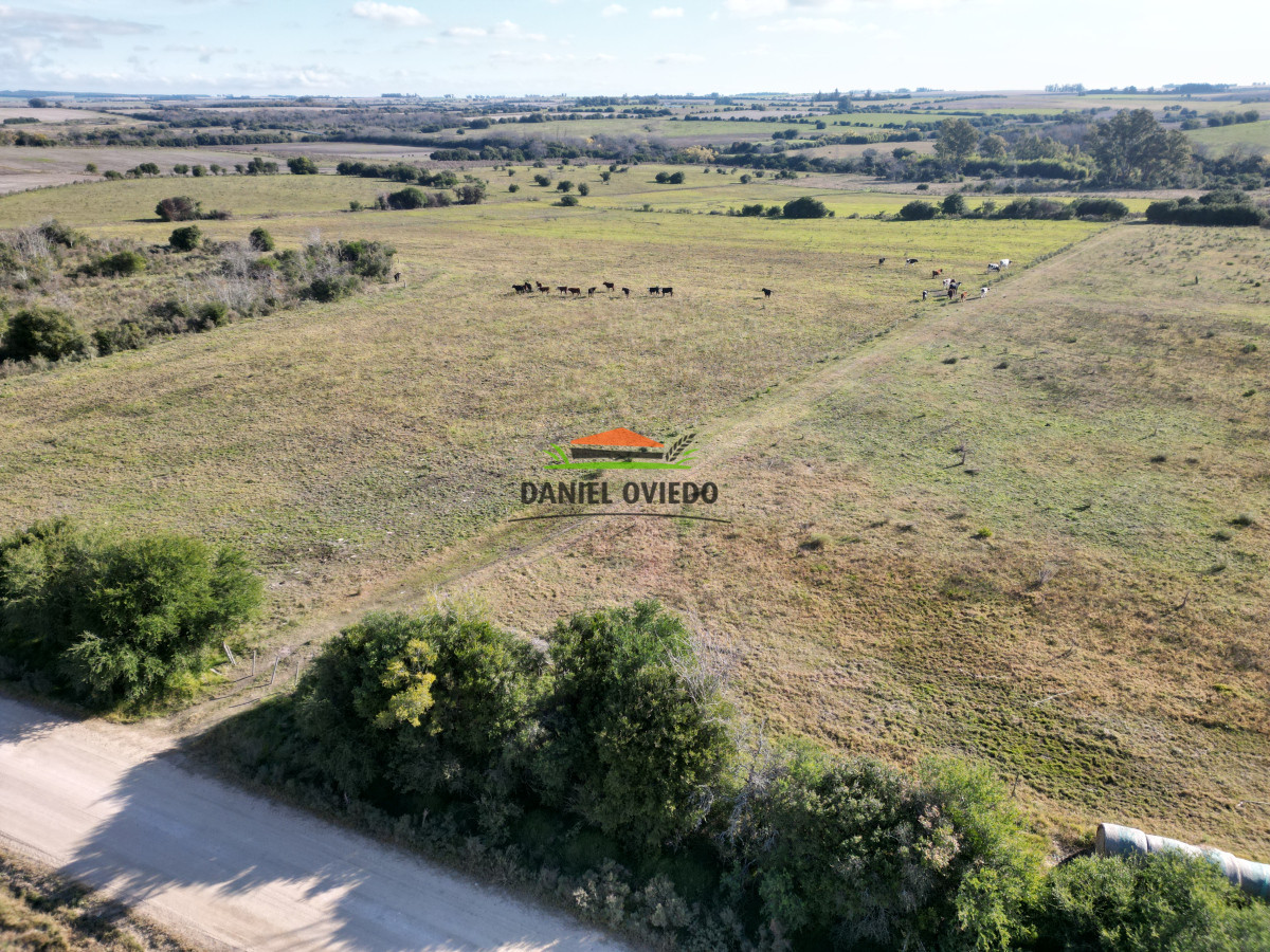 Campo Ref.208 - Campo agrícola ganadero de 20,95 has en Miguelete de Campana.