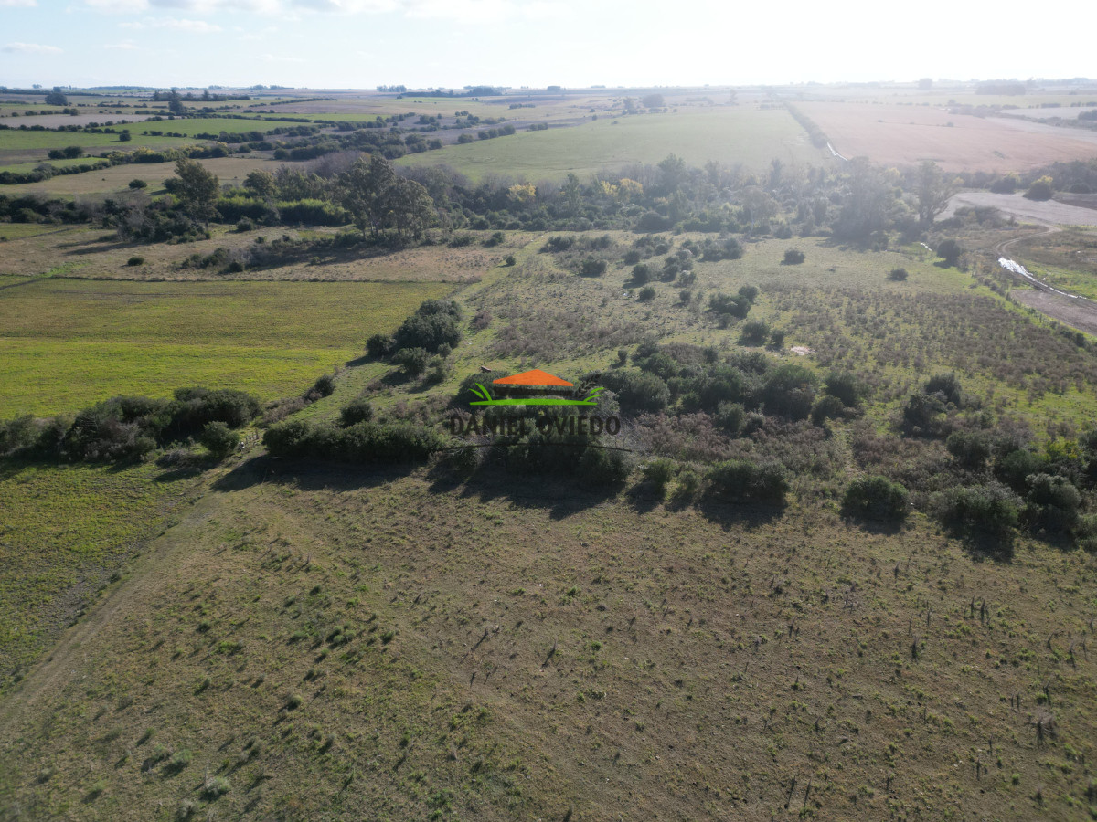 Campo Ref.208 - Campo agrícola ganadero de 20,95 has en Miguelete de Campana.