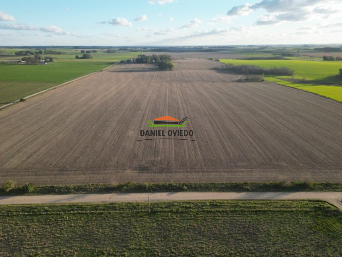 Campo Ref.38 - Campo con suelos premium y excelente casco en el corazón de San Pedro.