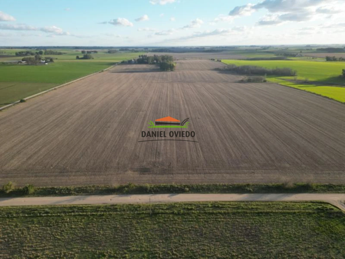 Campo Ref.38/Campo-con-suelos-premium-en-venta-en-el-coraz - Campo con suelos premium en venta en el corazón de San Pedro.