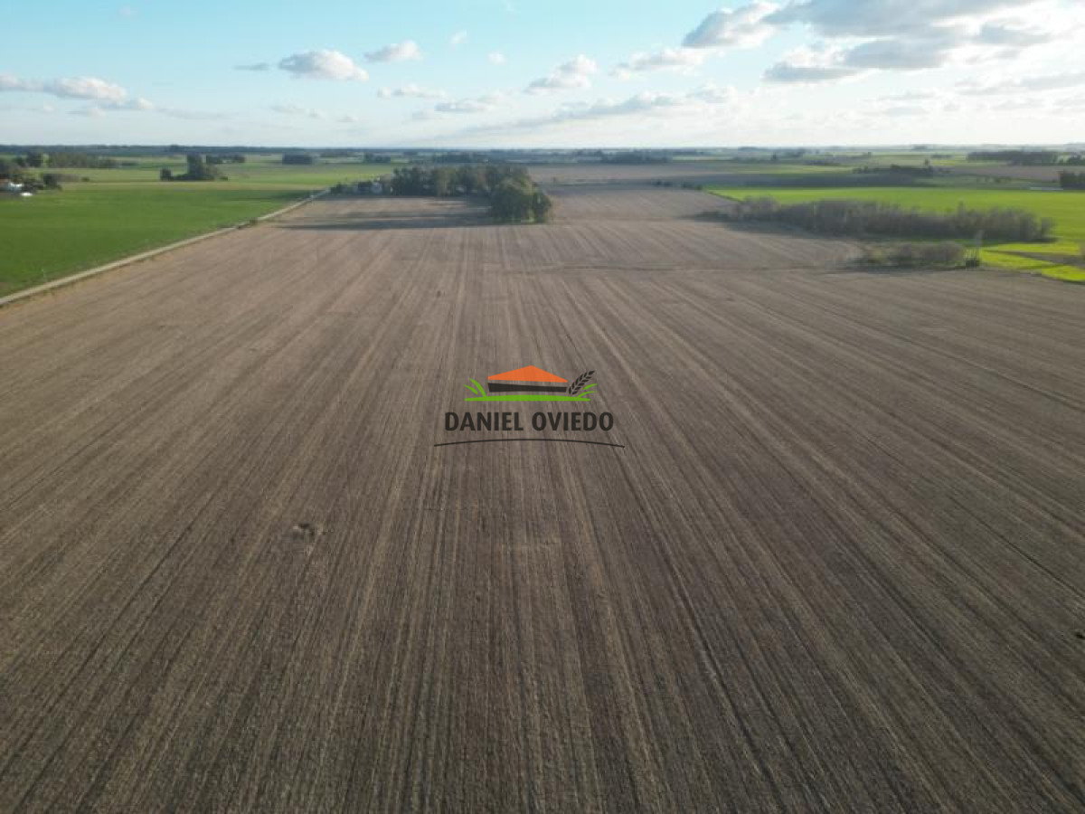 Campo Ref.38 - Campo con suelos premium y excelente casco en el corazón de San Pedro.