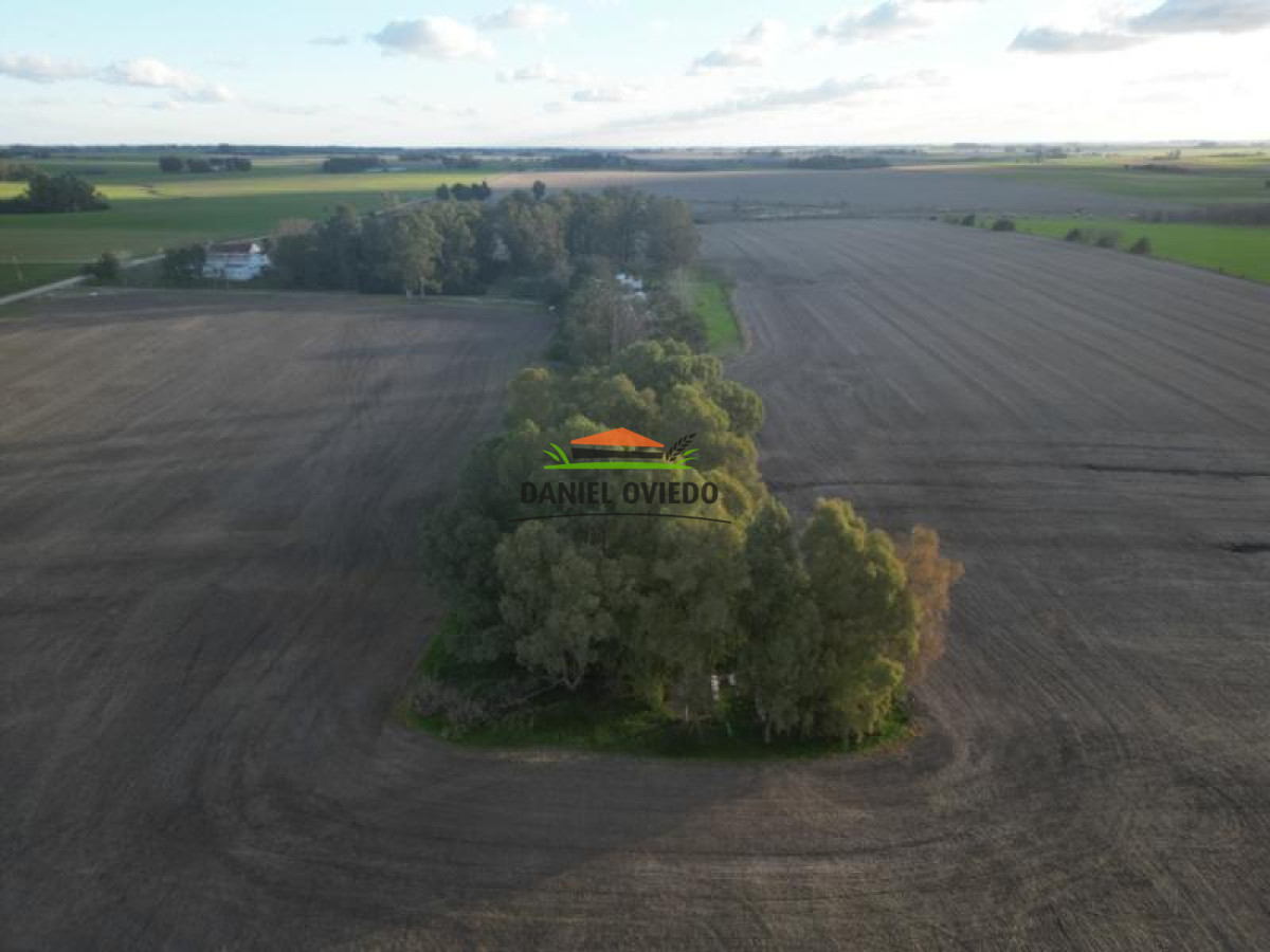 Campo Ref.38 - Campo con suelos premium y excelente casco en el corazón de San Pedro.