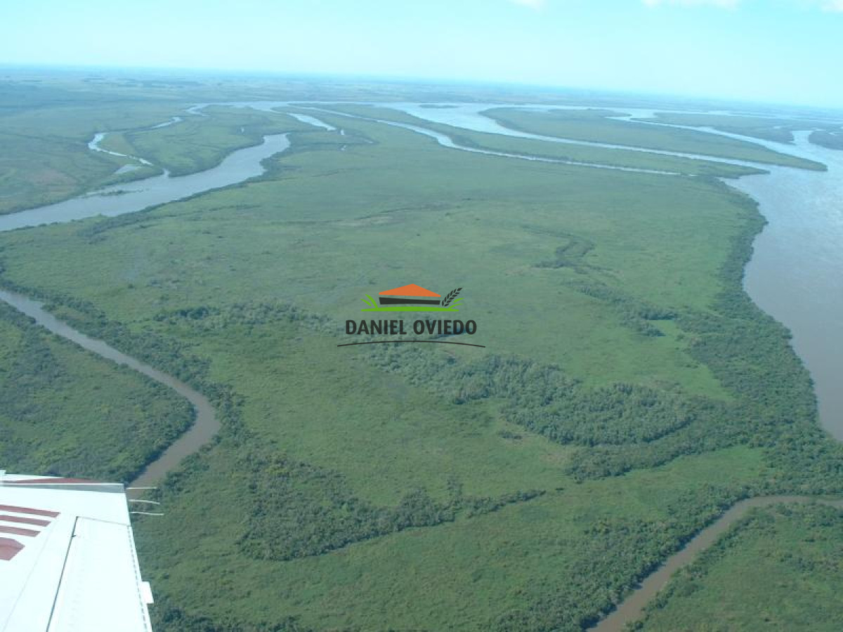 Campo Ref.16 - Oportunidad de inversión venta de isla en el río Uruguay.