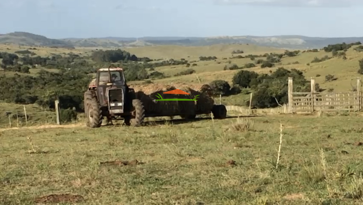 Campo Ref.354/Establecimiento-completo-campo-criador,-ganadero-en-venta-de-302-has. - Establecimiento completo campo criador, ganadero en venta de 302 has.