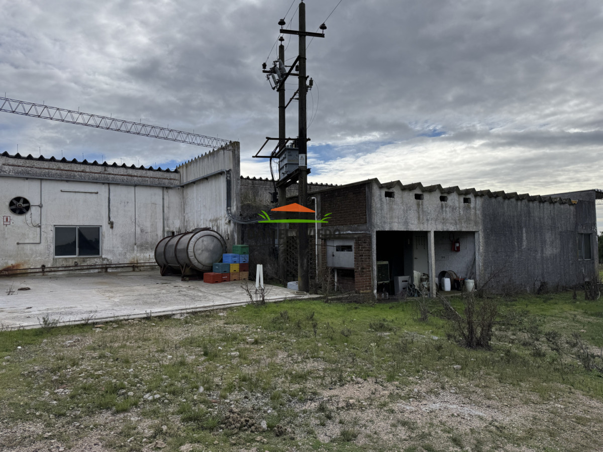 Campo Ref.377/Establecimiento-con-f - Establecimiento con fábrica y 33 Hás de campo - Instalaciones y equipamiento incluidos | Colonia
