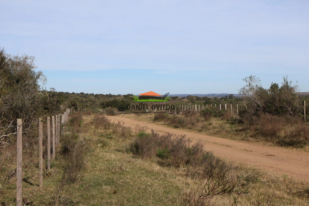 Campo Ref.210/Estancia-ganadera-completa-en-venta-de-2.956-has-en-Cerro-Largo. - Estancia ganadera completa en venta de 2.956 has en Cerro Largo.
