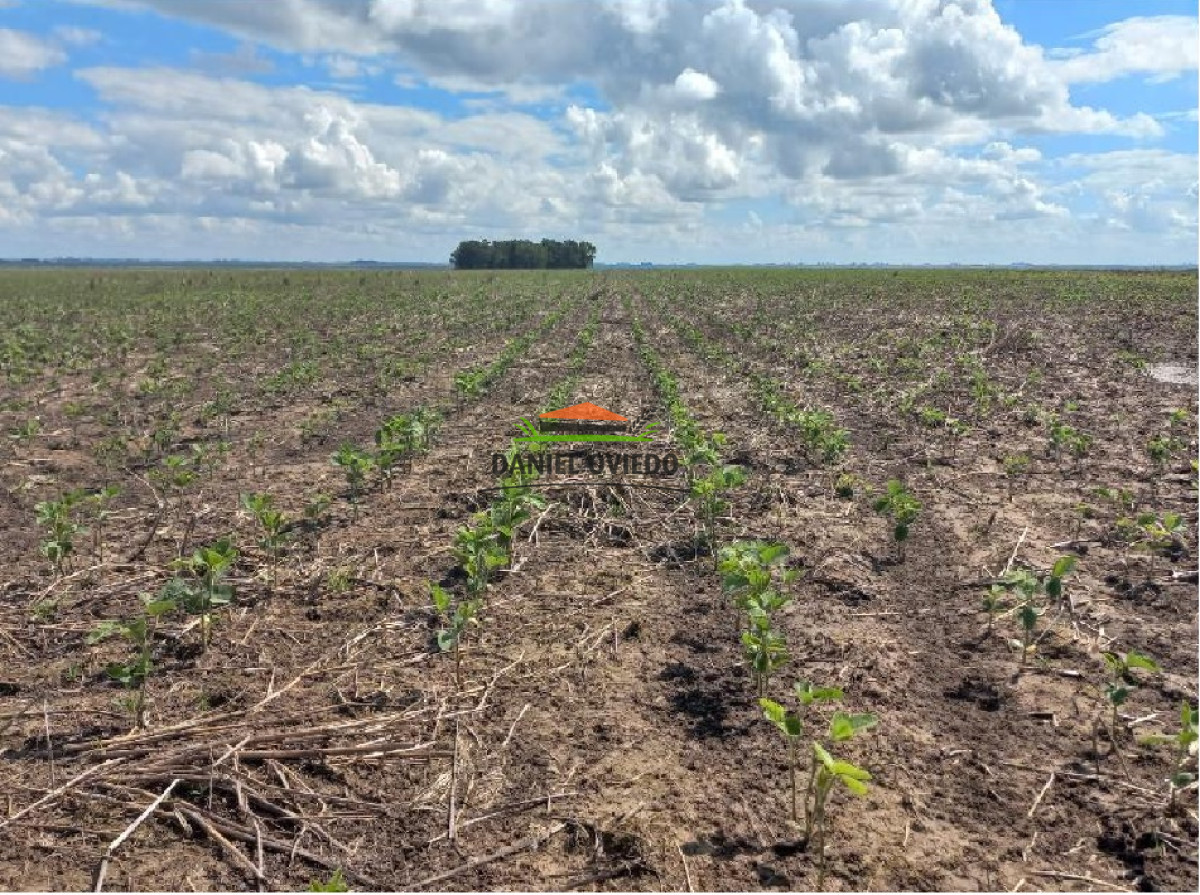 Campo Ref.145/Establecimiento-de-3.000-h - Establecimiento de 3.000 hás en venta en Cerro Largo.