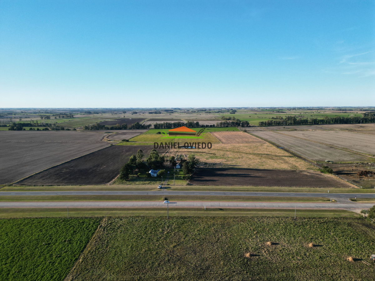 Campo Ref.209 - Excepcional ubicación en ruta 1 y campo productivo donde nadie vende.