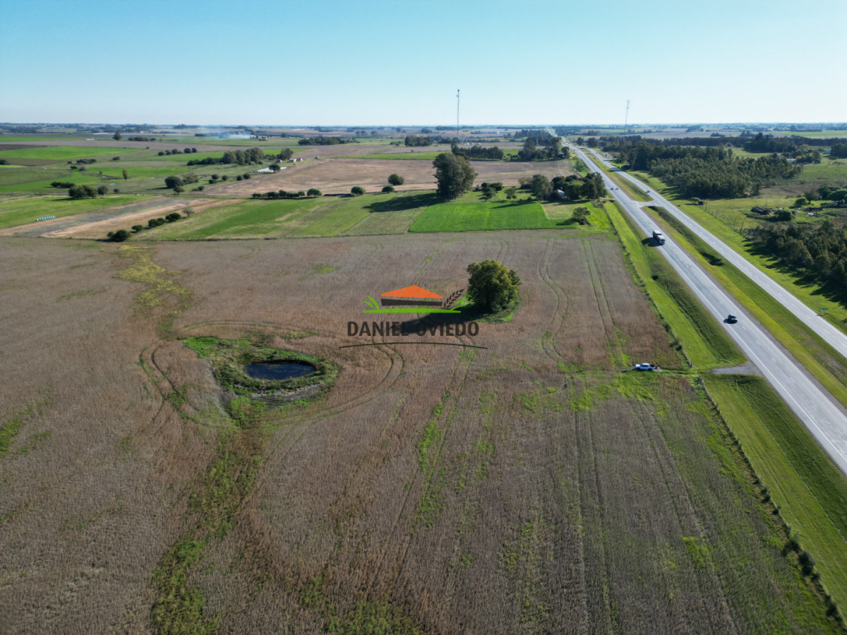 Campo Ref.383/22-Hect - 22 Hectáreas Agrícolas sobre Ruta 1 | Excelente Ubicación y Muy Buenos Suelos